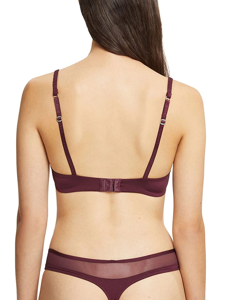 ESPRIT Bügel-BH In Bordeaux 2 ESPRIT Bügel-BH In Bordeaux - Image 2