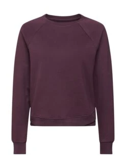 ESPRIT Sweatshirt In Pflaume